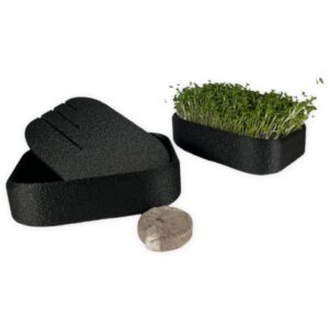 Microgreens Growing Kit