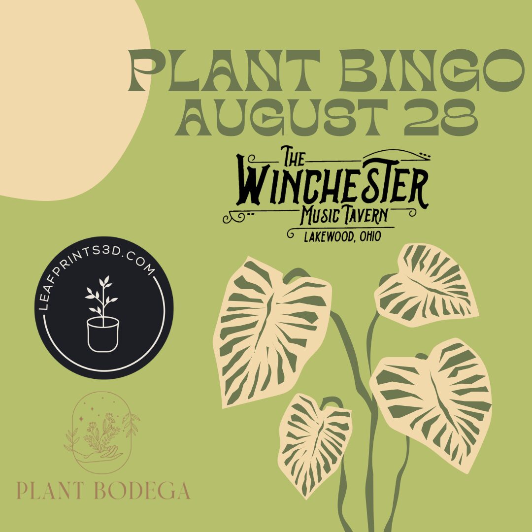 Plant Bingo | PLANT BINGO 4