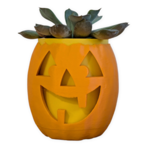 Classic Jack o' Planter