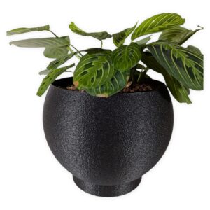 The Banner - 8.5 Inch Cover Pot