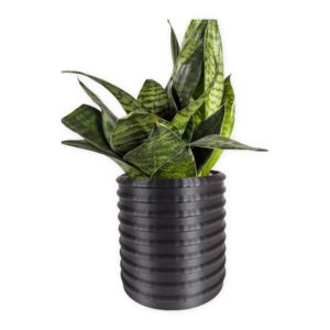 The Carob – 4 Inch Planter with Drip Tray