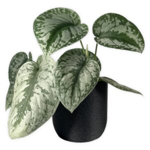 The Moss - 4 Inch Cover Pot