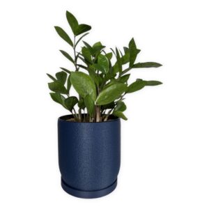 Leafprints 3D oak style 6 inch navy planter with drainage hole, matching drip tray, and a plant inside