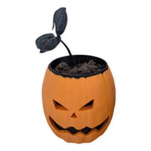 Spooky Jack o' Planter
