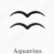 Aquarius