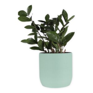 The Oak - 6 Inch Cover Pot