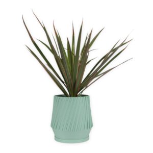 The Samara - 3.5 Inch Planter with Drip Tray