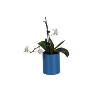The Pebble - 2 Inch Cover Pot