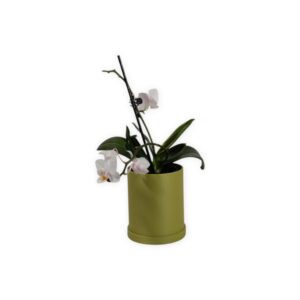 The Pebble - 2 Inch Planter with Drip Tray