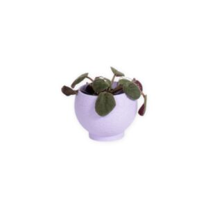 The Petal - 2.5 Inch Cover Pot