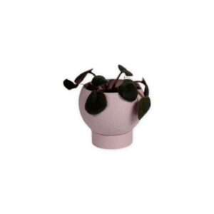 The Petal - 2.5 Inch Planter with Drip Tray