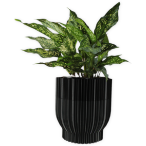 The Tupelo - 6 Inch Planter